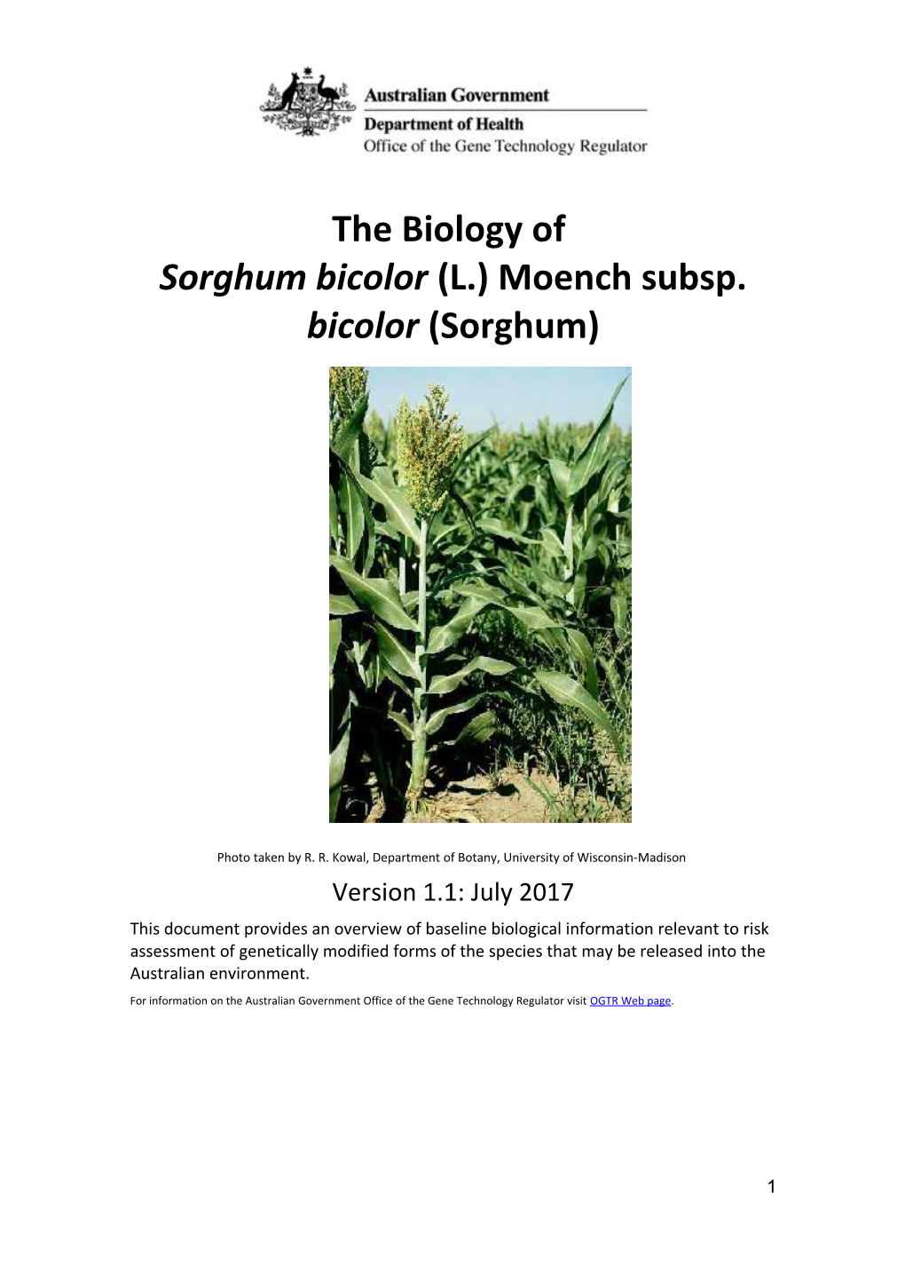 The Biology of Sorghum