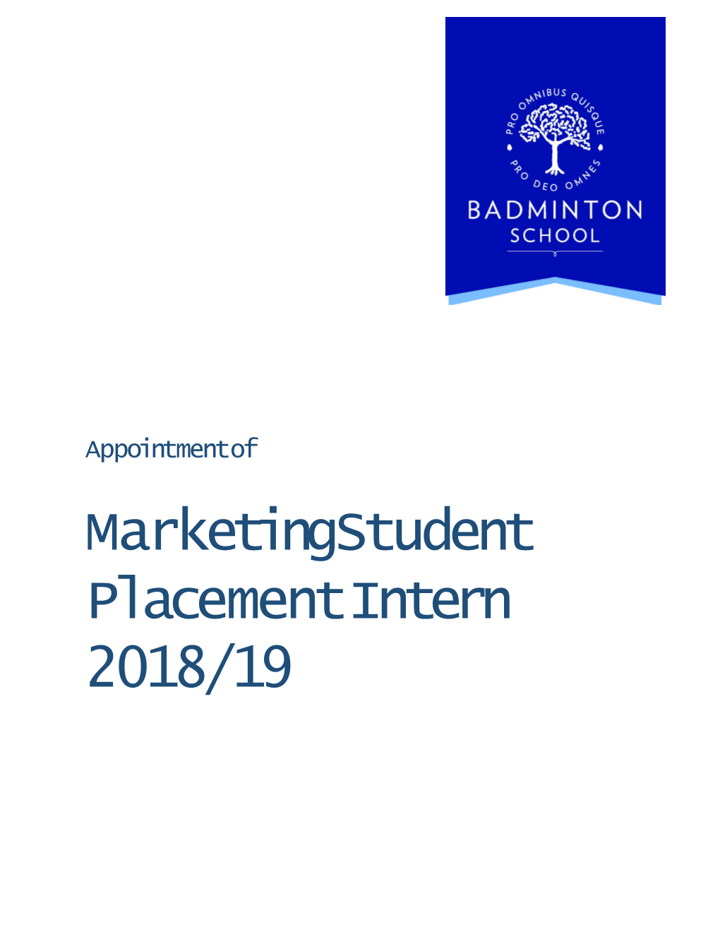 Marketing Student Placement Intern 2018/19