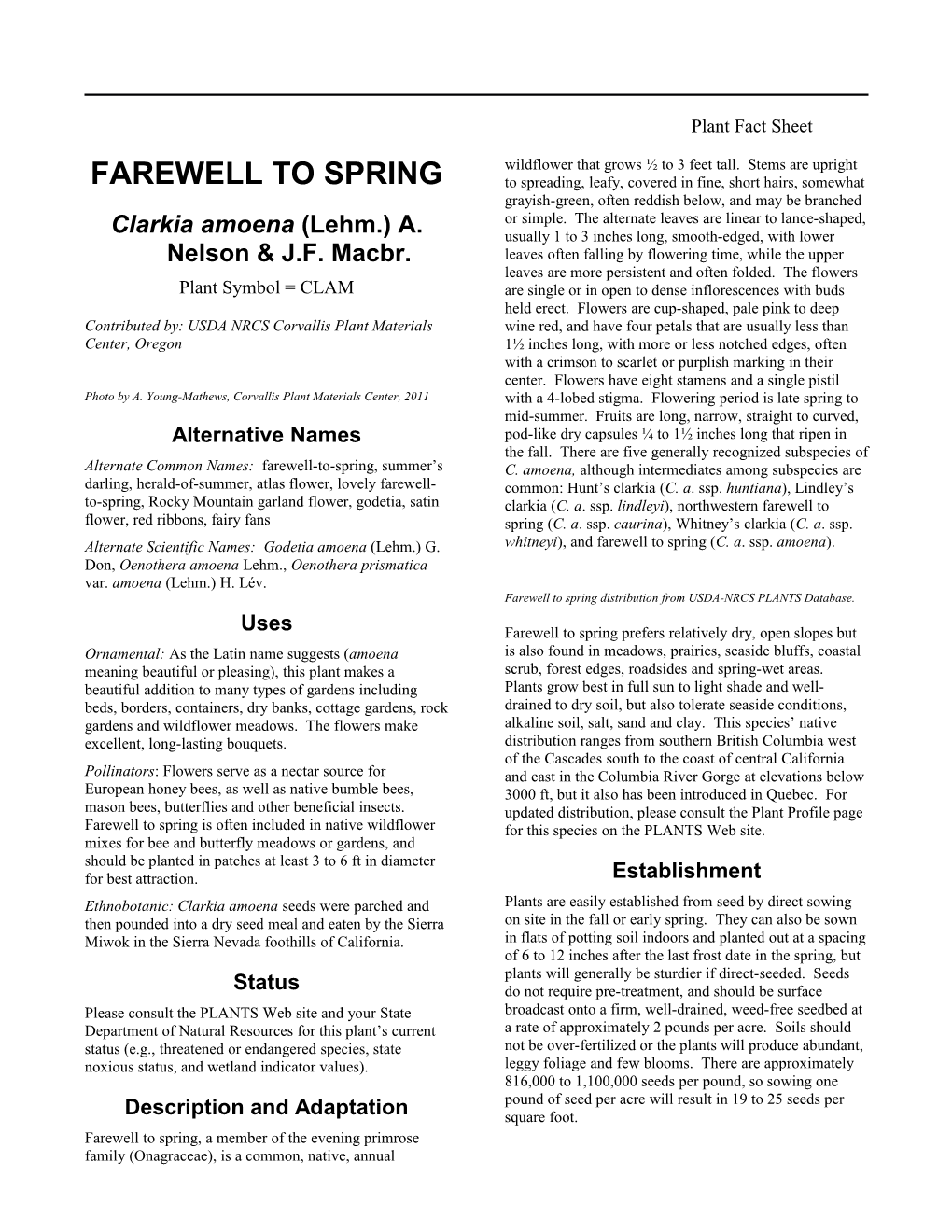 Plant Fact Sheet for Farewell to Spring (Clarkia Amoena)