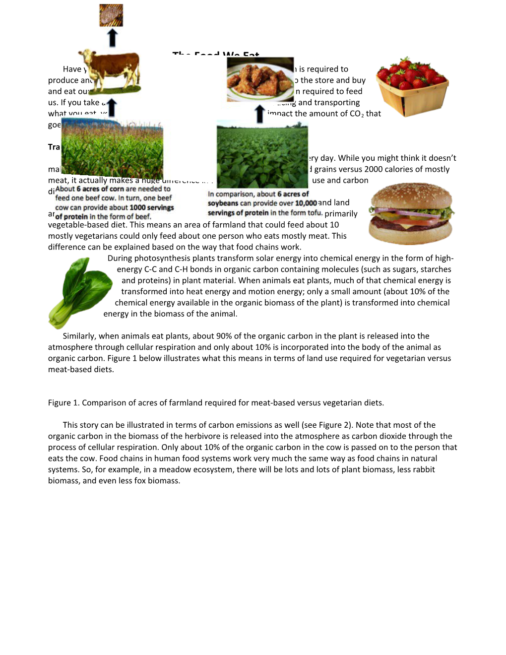 Tracing Energy and Carbon in Our Food