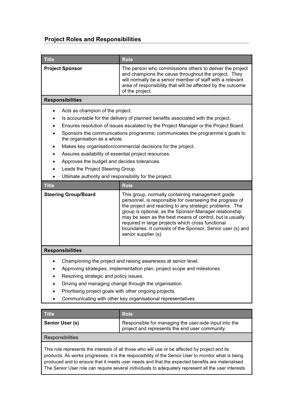 Roles and Responsibilities Template