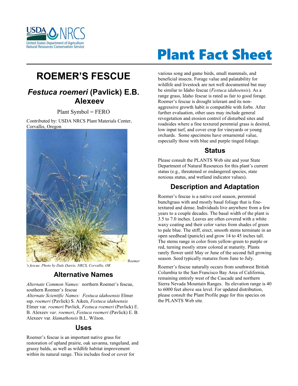 Plant Fact Sheet for Roemer S Fescue (Festuca Roemeri)