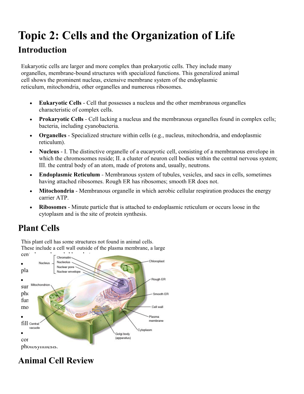 Organelles - Specialized Structure Within Cells (E.G., Nucleus, Mitochondria, and Endoplasmic