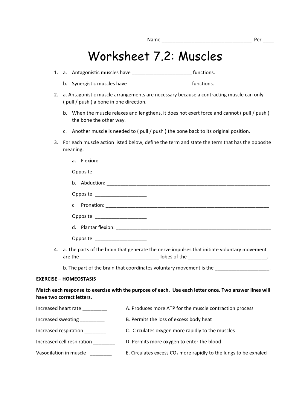 Worksheet 7.2: Muscles