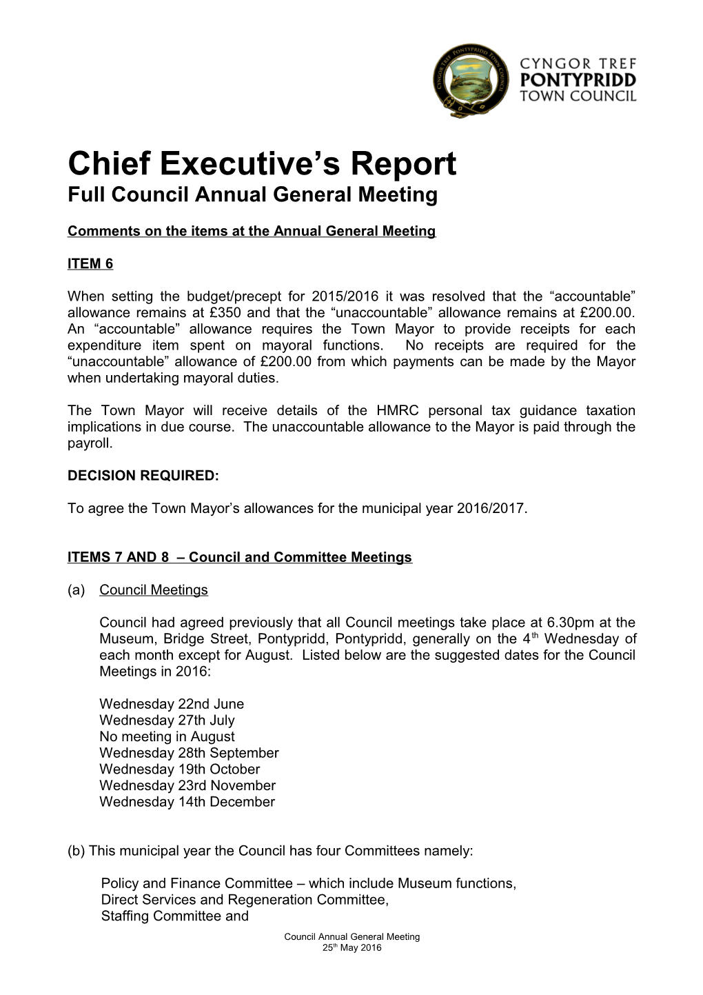 Chief Executive S Report