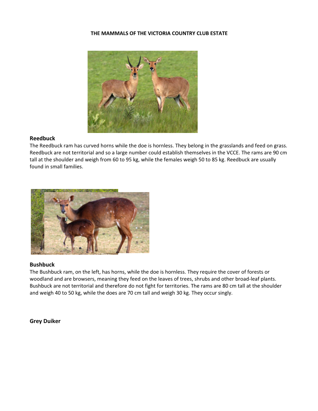The Mammals of the Victoria Country Club Estate