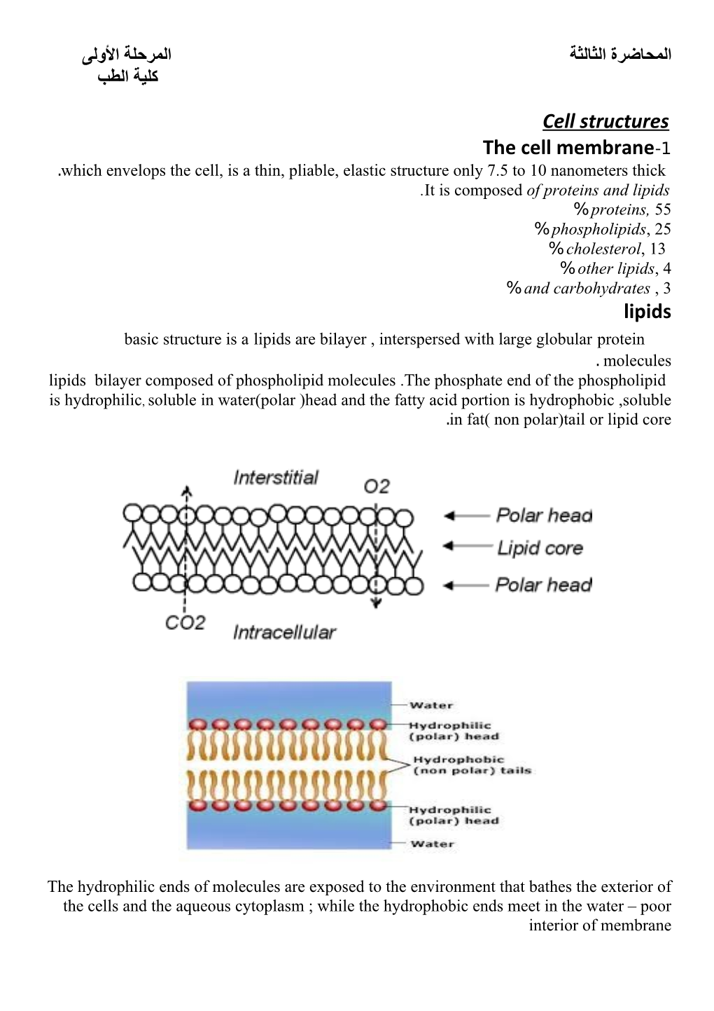 Which Envelops the Cell, Is a Thin, Pliable,Elastic Structure Only 7.5 to 10 Nanometers Thick