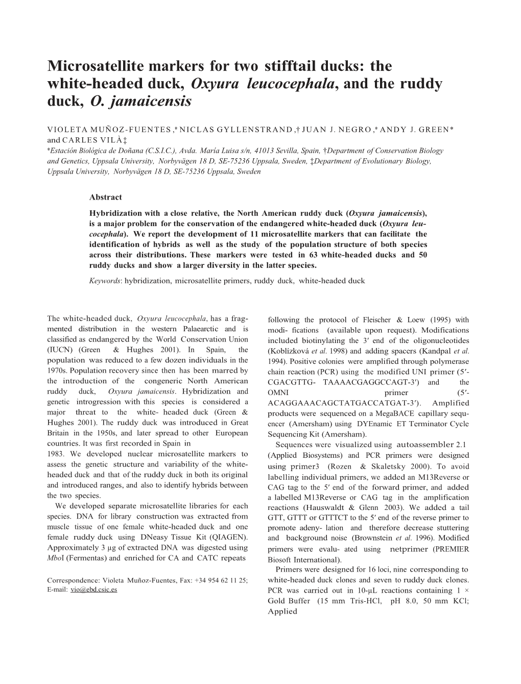 Microsatellite Markers for Two Stifftail Ducks: the White-Headed Duck, Oxyura Leucocephala