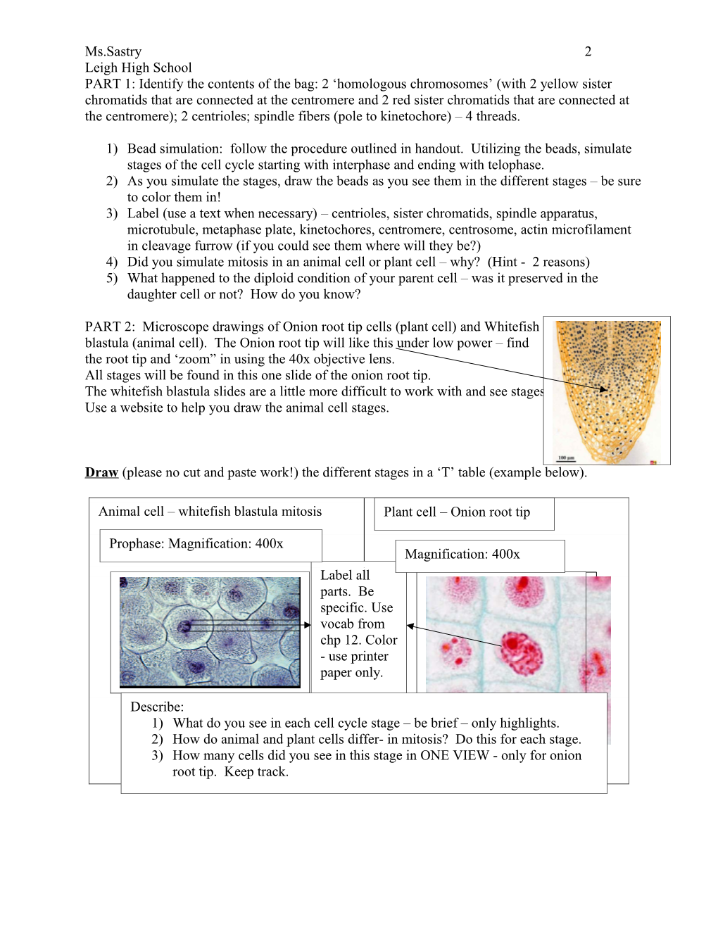 Ap Lab # 3: Mitosis and Meiosis