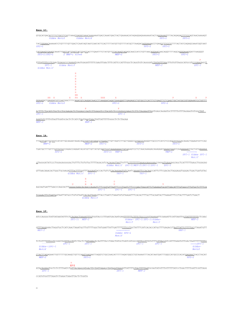 SPI-1 SPI-1 2 HNF-1 Sites MEF-2 SPI-1 SPI-1