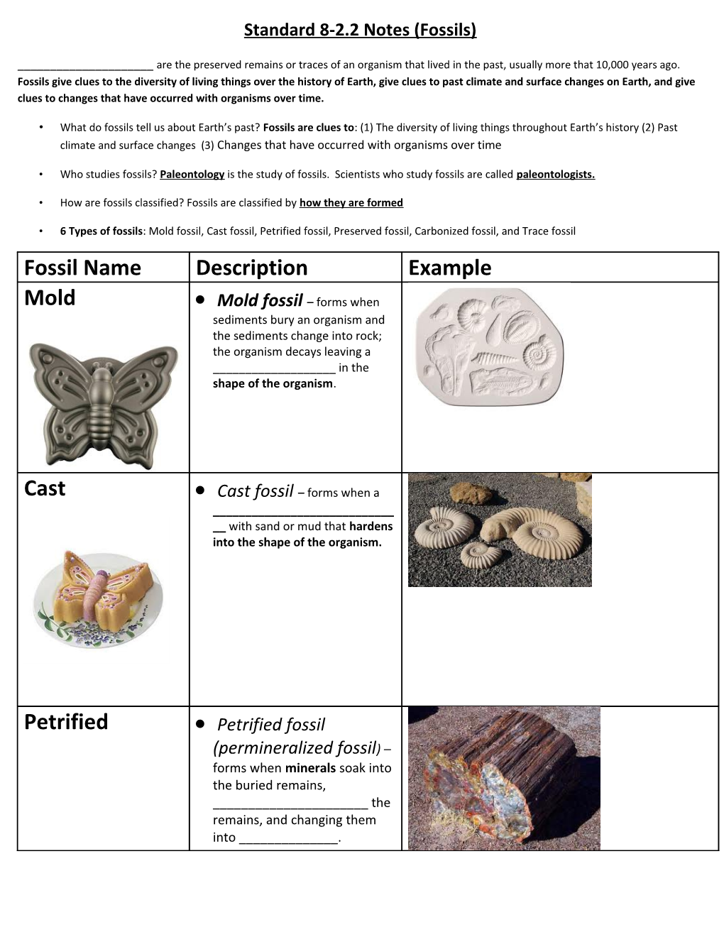 Fossil Vocabulary Table