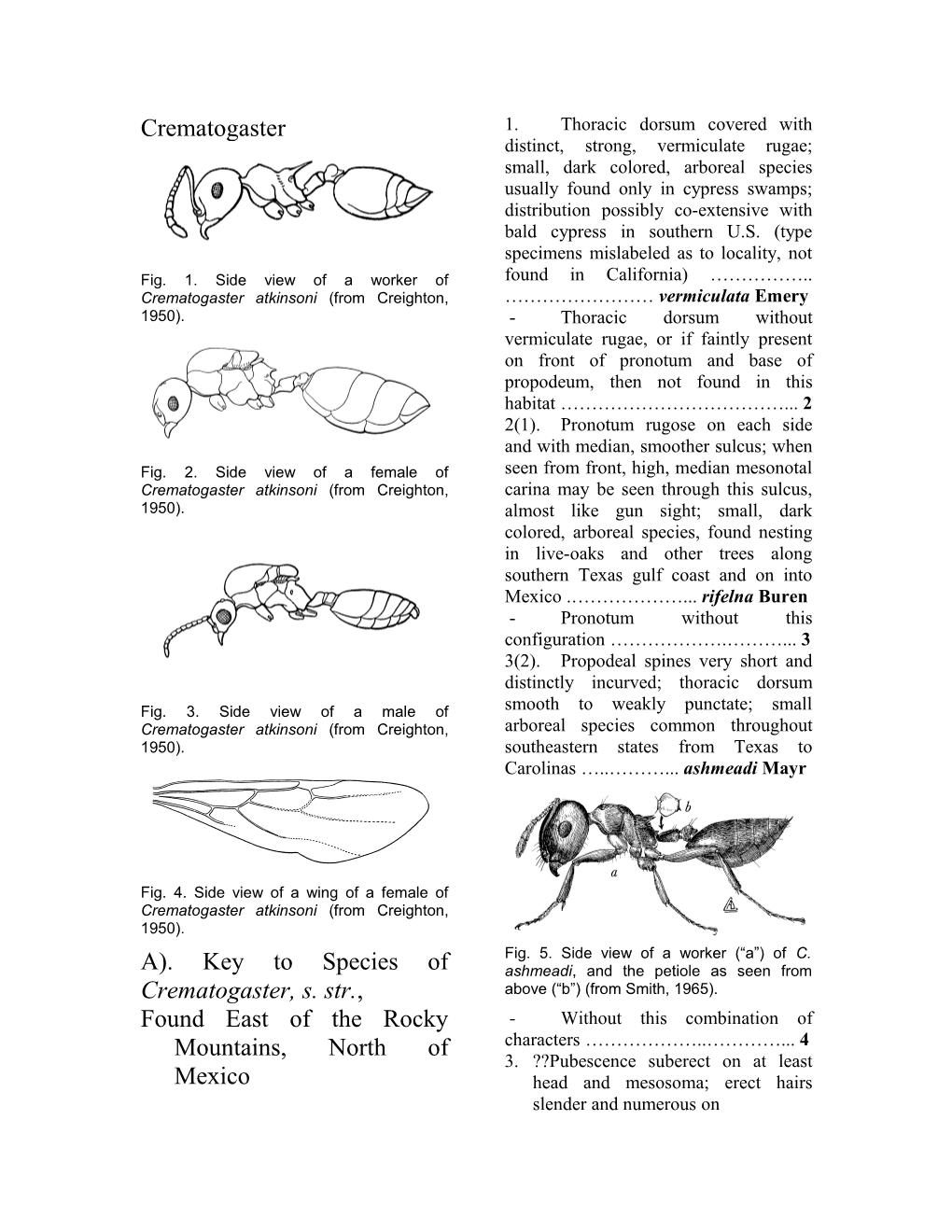 Key to Species of Crematogaster, S