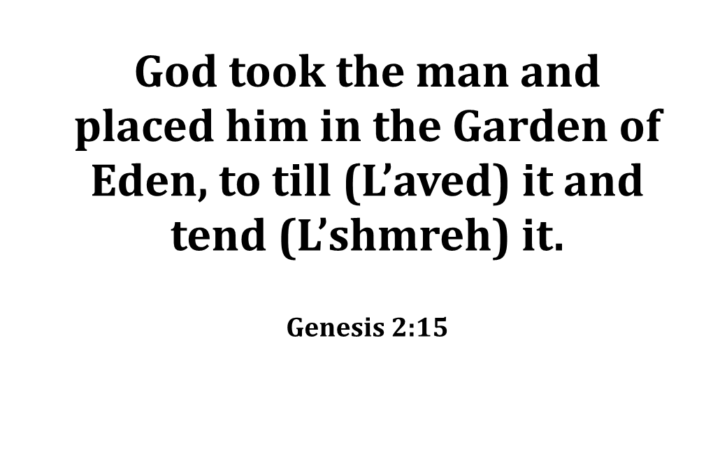 God Took the Man and Placed Him in the Garden of Eden, to Till (L Aved) It and Tend (L