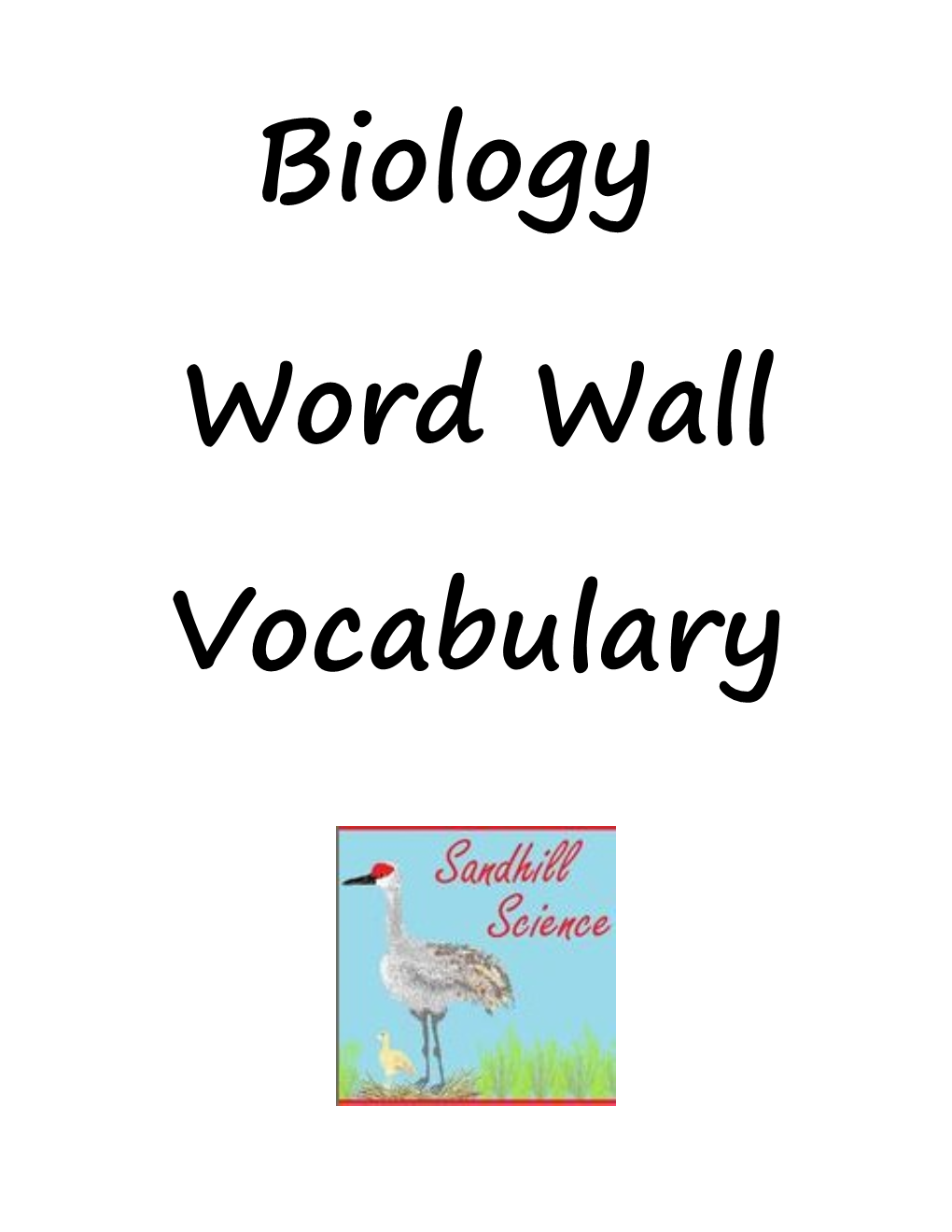 Word Wall Vocabulary