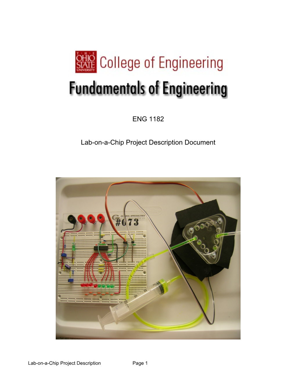 Lab-On-A-Chip Project Description Document