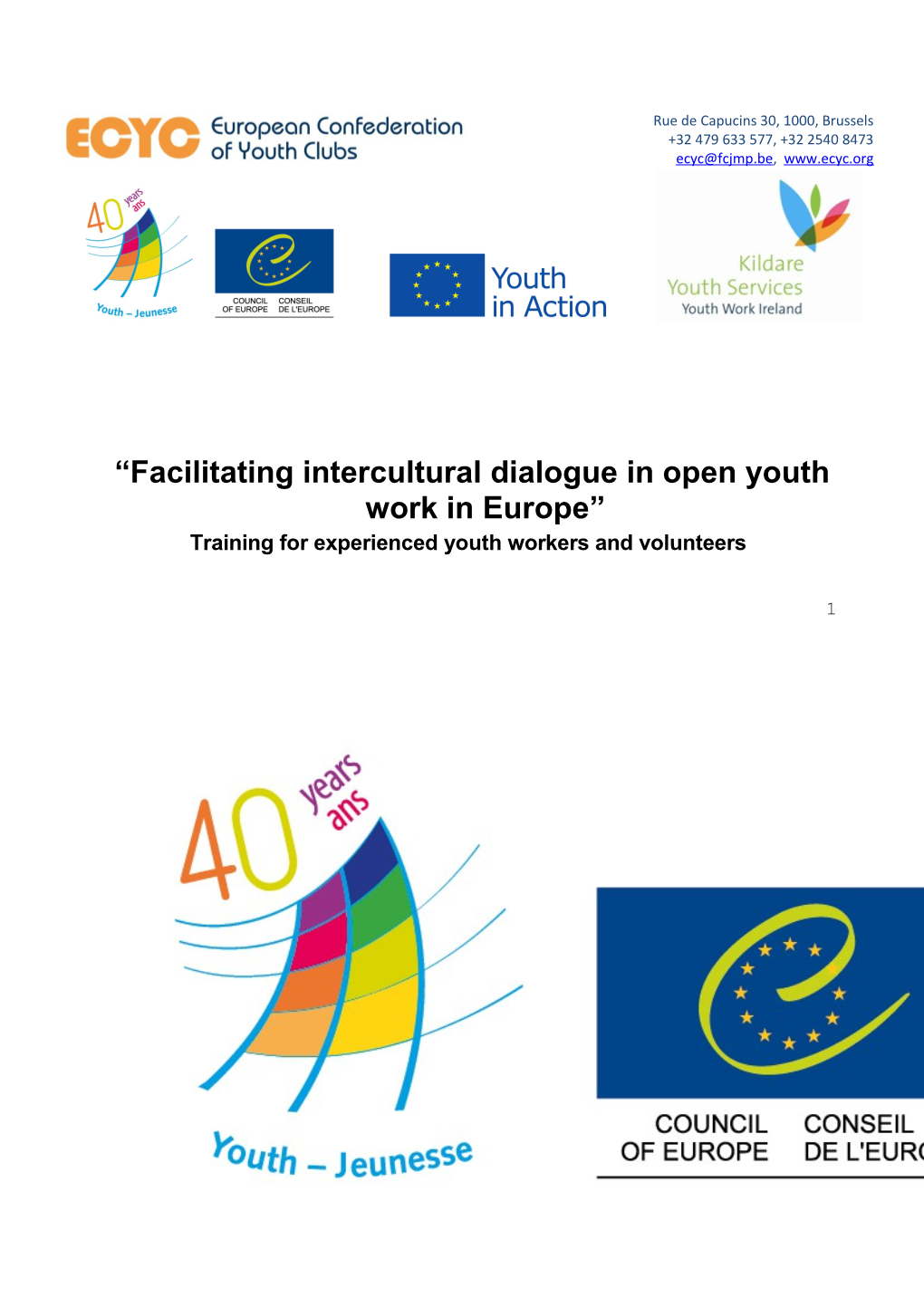 Facilitating Intercultural Dialogue in Open Youth Work in Europe