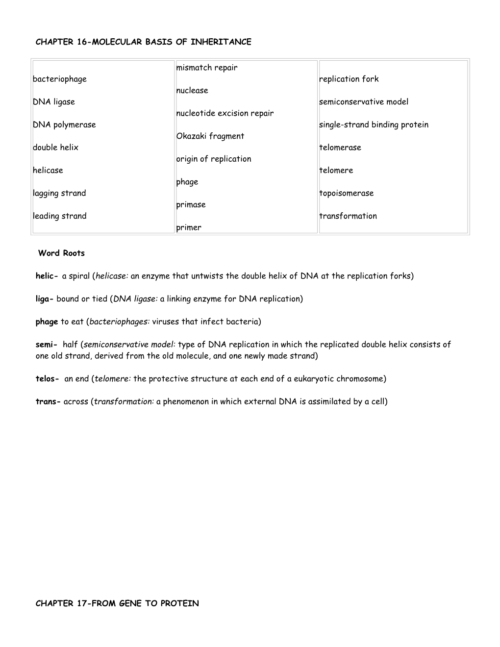 Chapter 16 -Molecular Basis of Inheritance