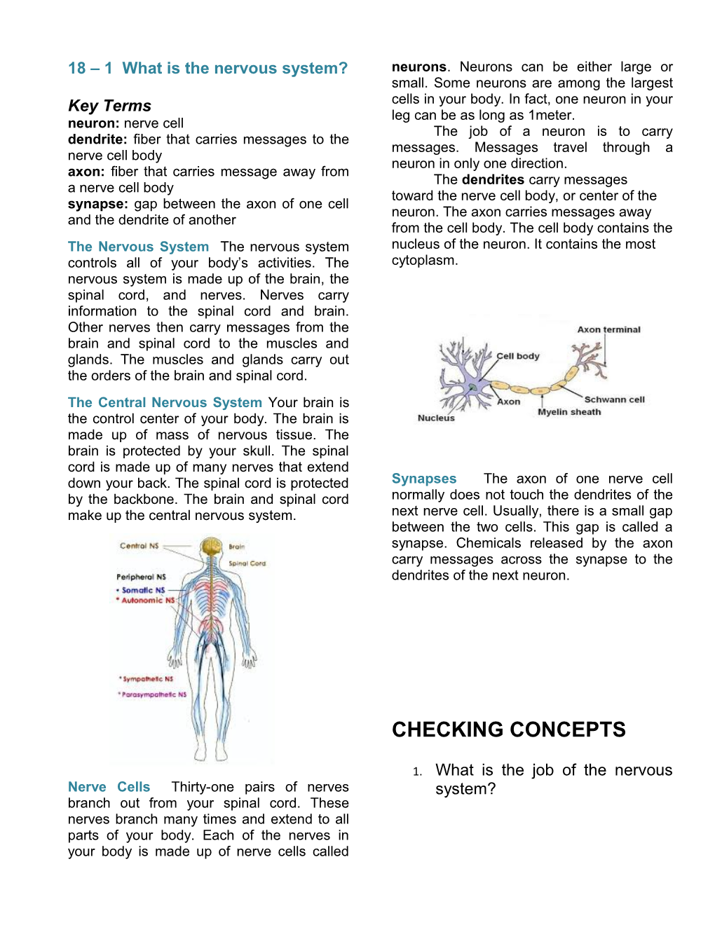 18 1 What Is the Nervous System?