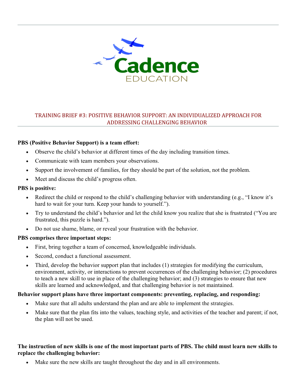 Training Brief #3:Positive Behavior Support: an Individualized Approach for Addressing