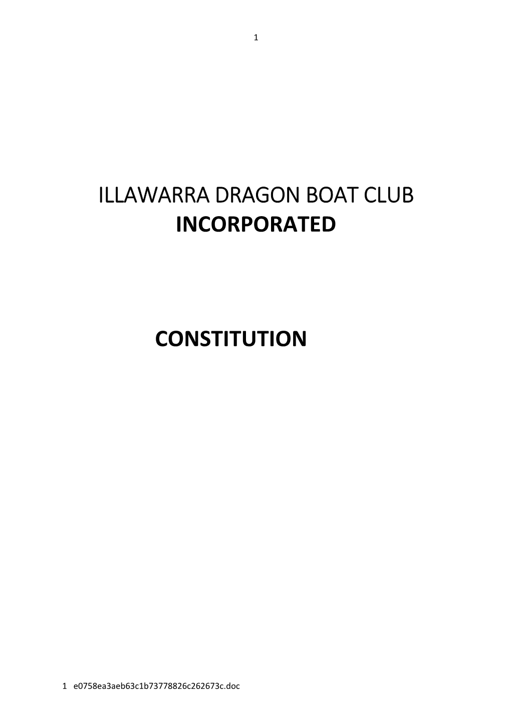 Illawarra Dragon Boat Club