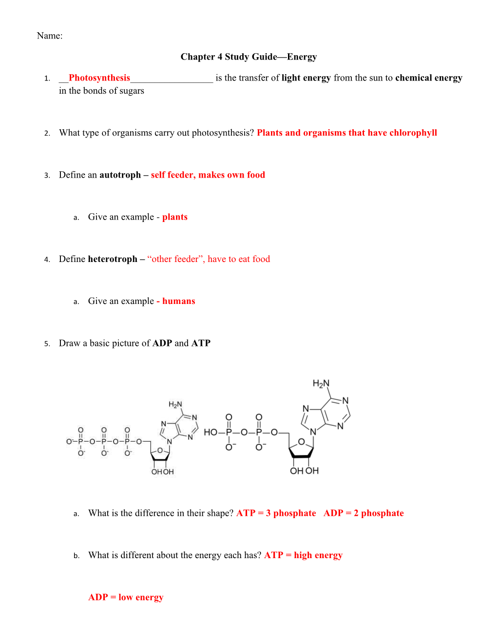 Chapter 4 Study Guide Energy