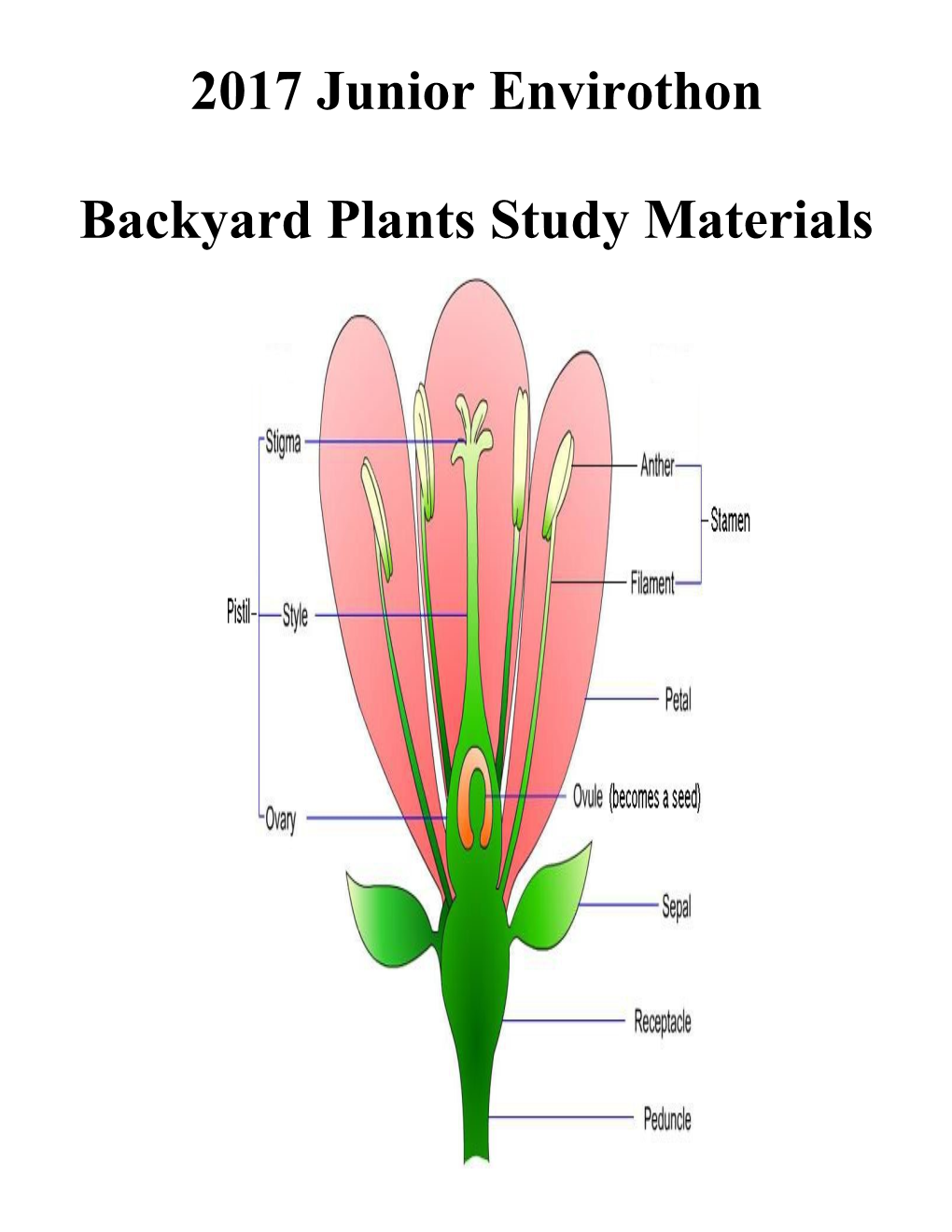 Backyard Plants Study Materials