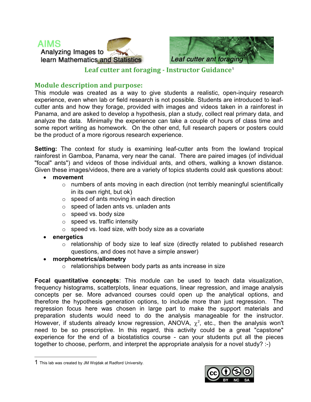 Leaf Cutter Ant Foraging - Instructor Guidance 1