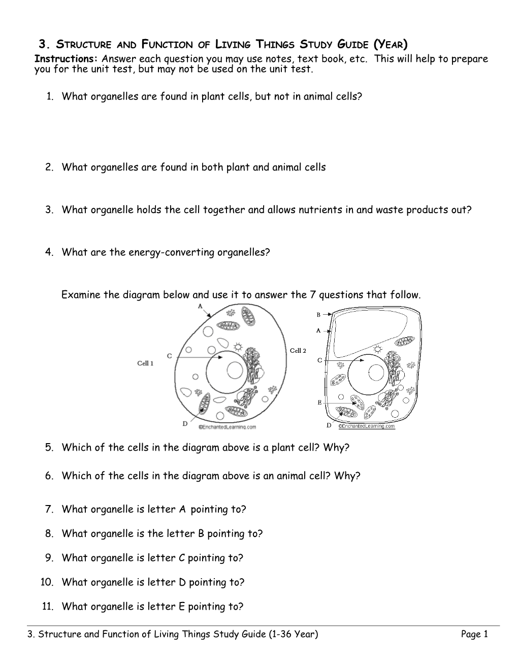 3. Structure and Function of Living Things Study Guide (Year)