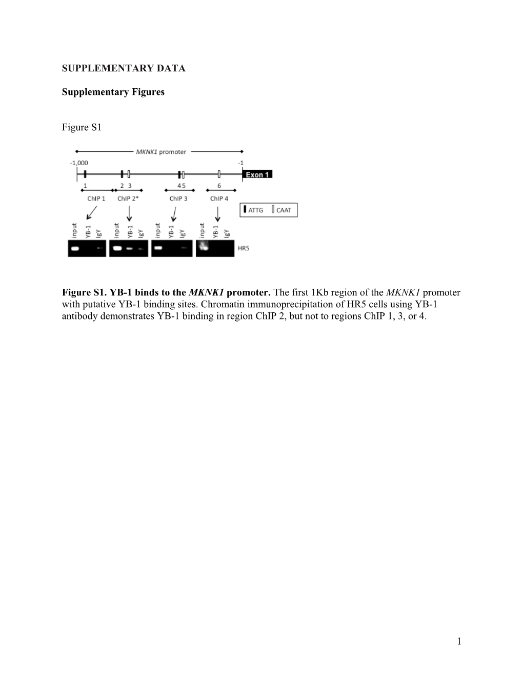 Figure 1: MNK1 and MNK2 Levels Are More Highly Expressed in the Resistant Cells