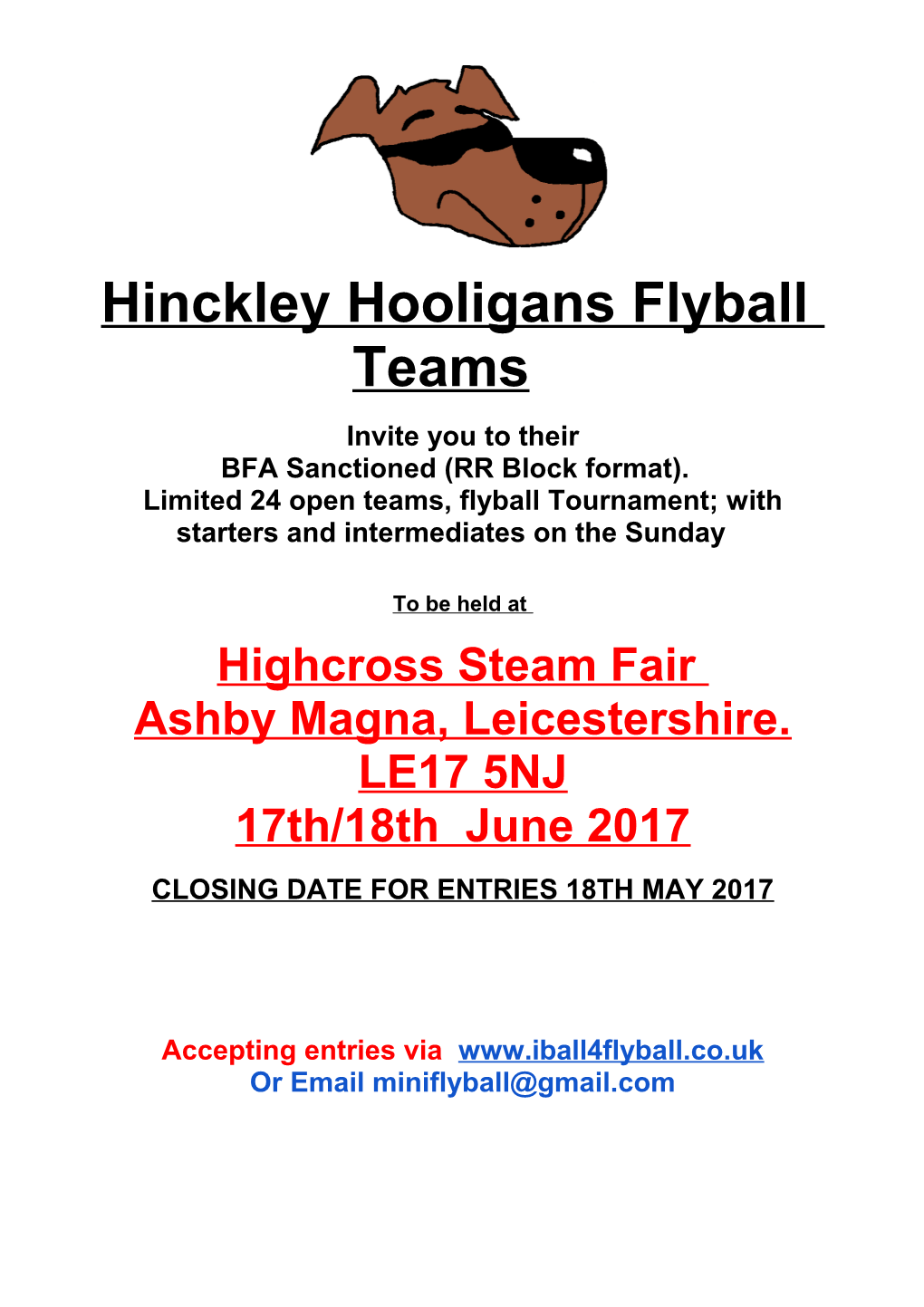 Hinckley Hooligans Flyball