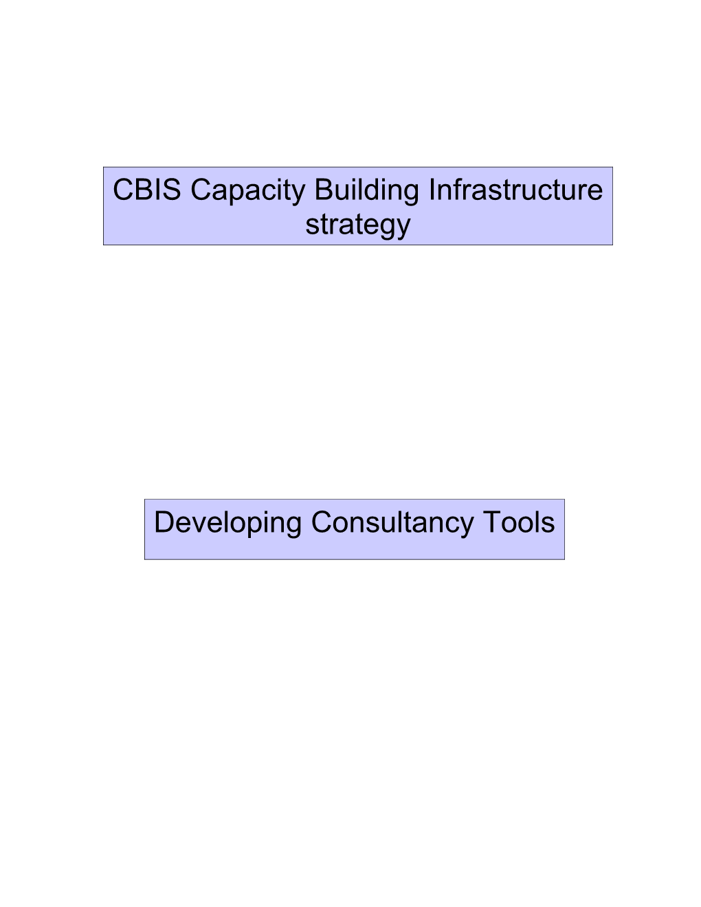 CBIS Capacity Building Infrastructure Strategy