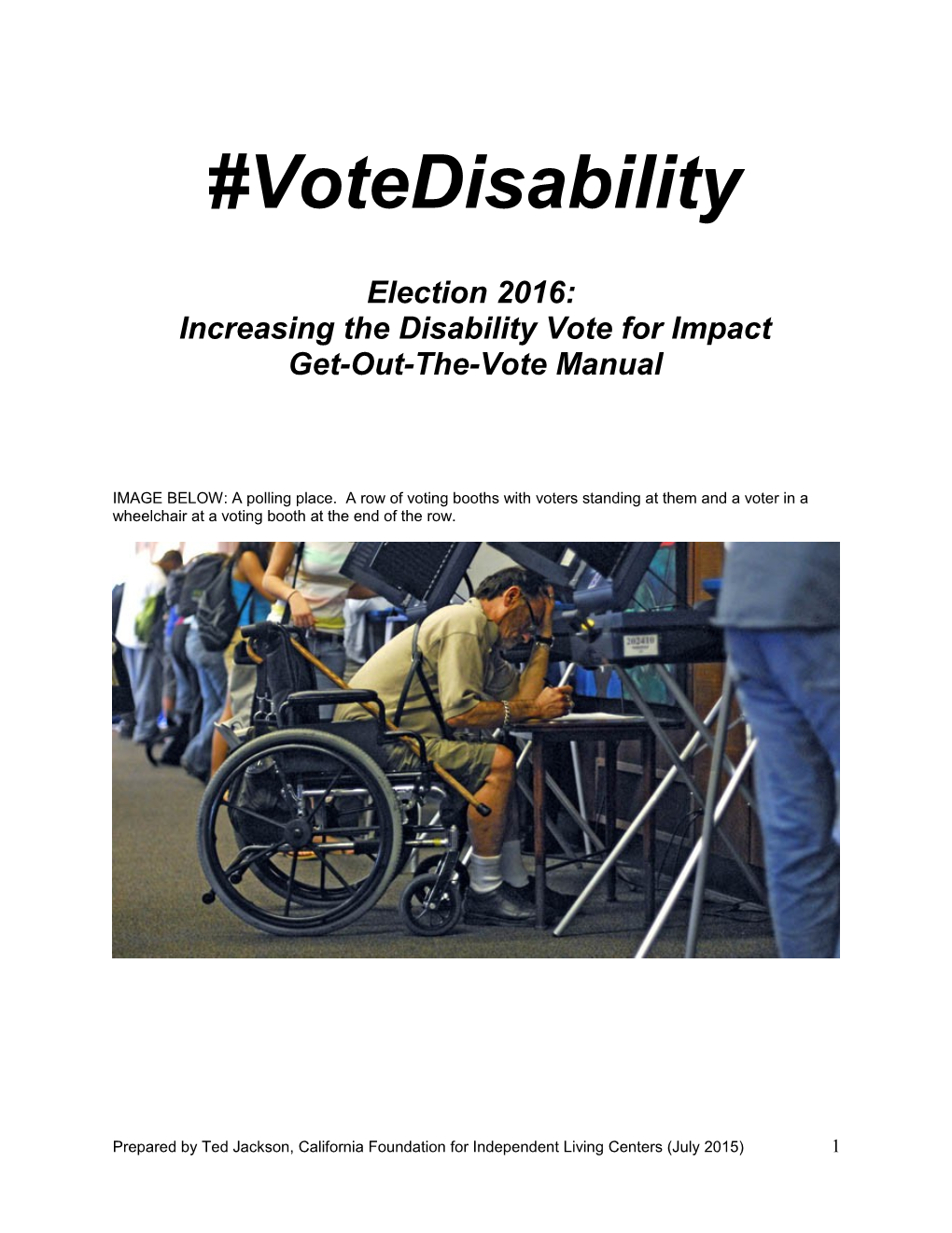 Increasing the Disability Vote for Impact