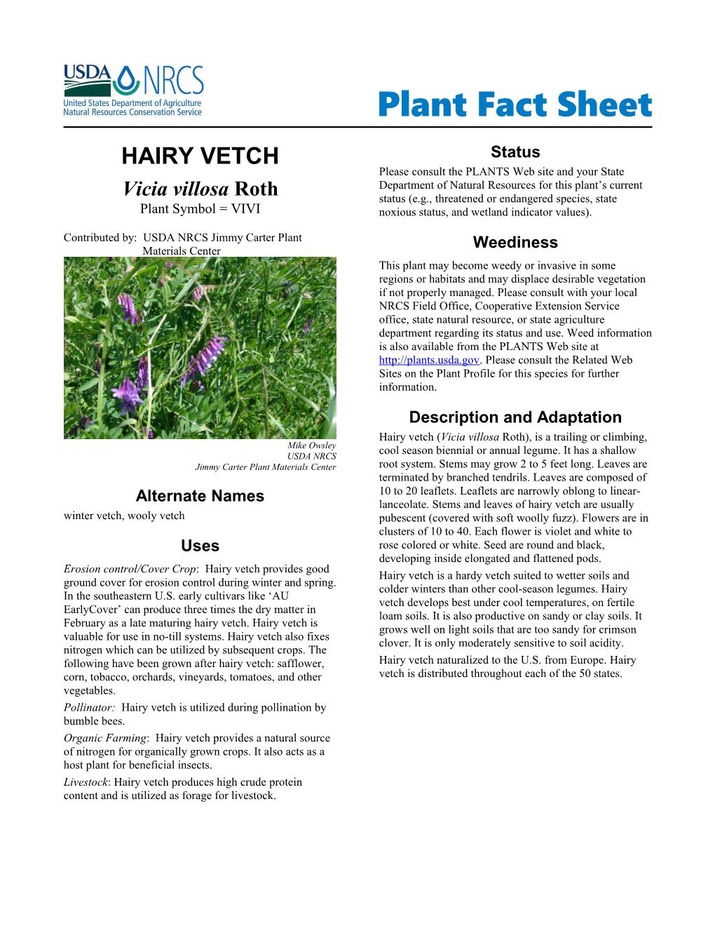 Hairy Vetch(Vicia Villosa)Roth Plant Fact Sheet