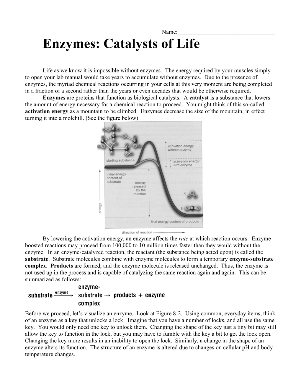 Enzymes: Catalysts of Life