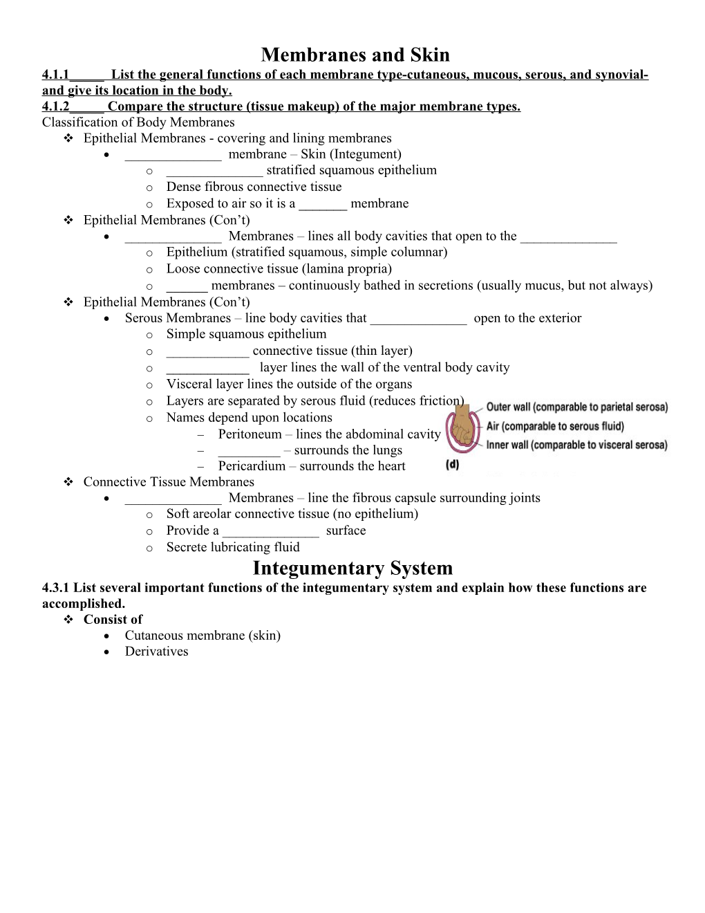 4.1.2_____ Compare the Structure (Tissue Makeup) of the Major Membrane Types