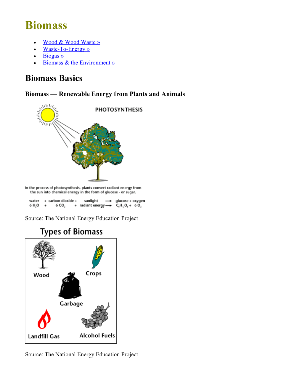 Biomass Renewable Energy from Plants and Animals