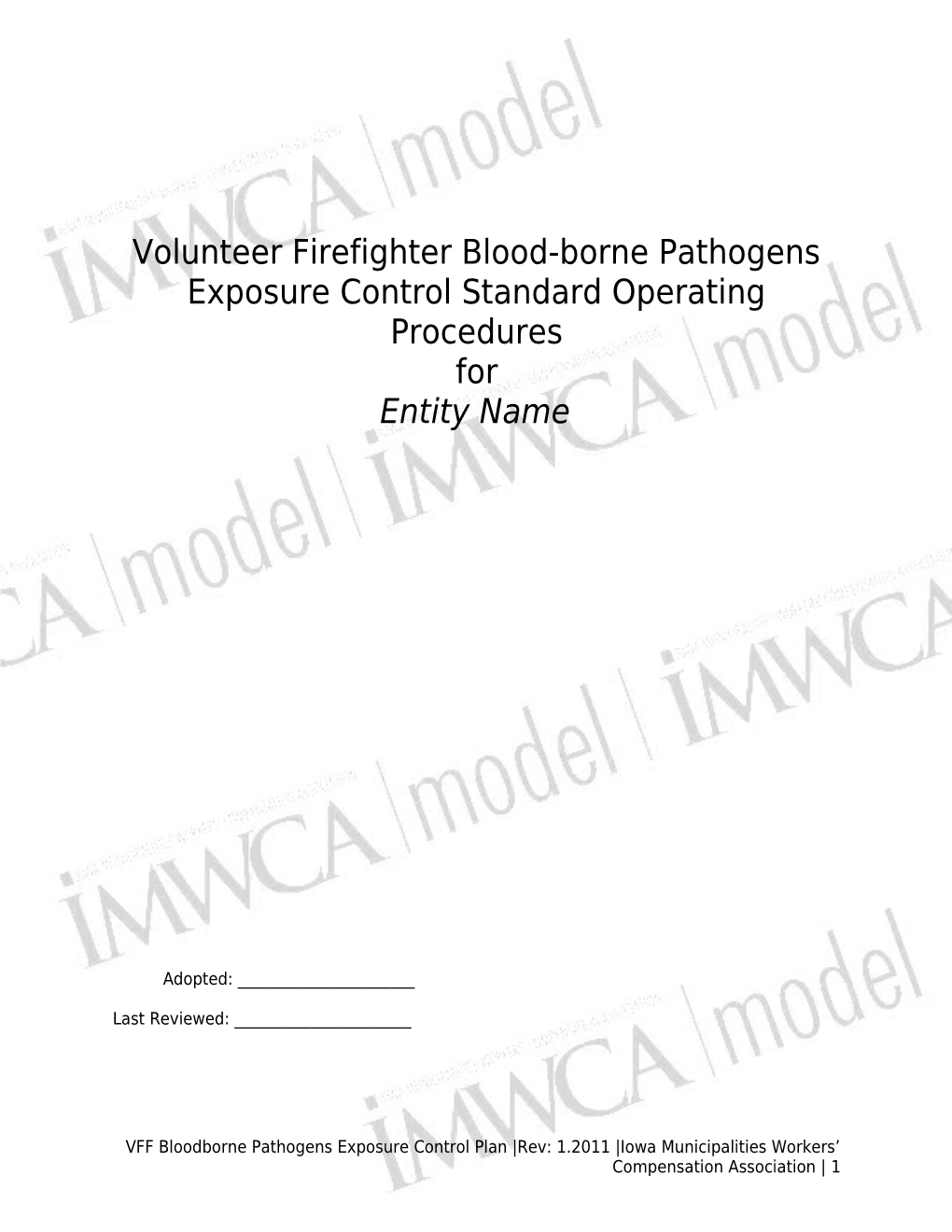 Volunteer Firefighter Blood-Borne Pathogens