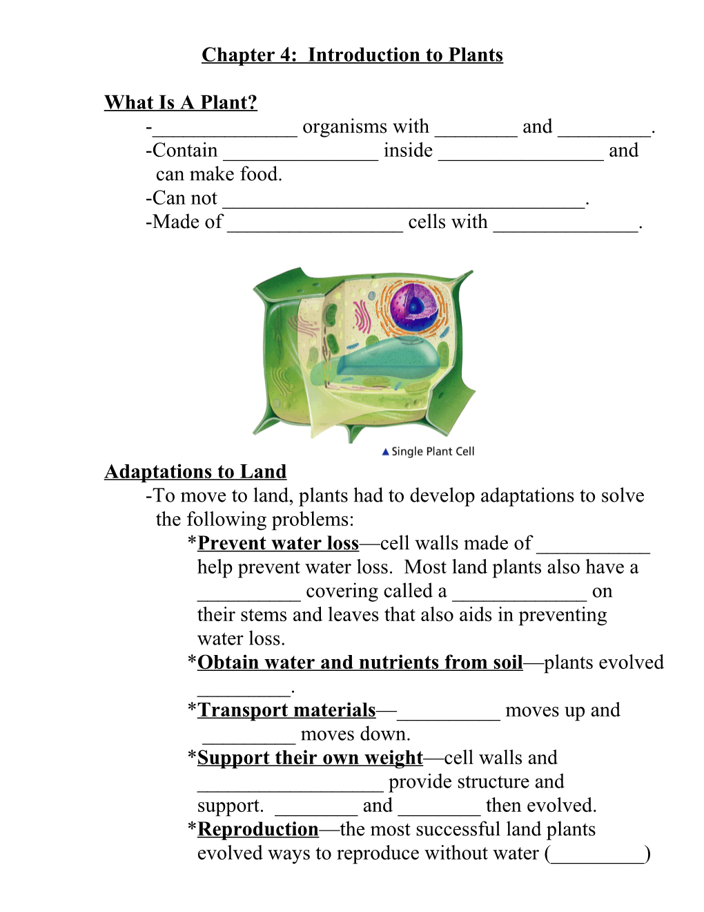 Chapter 4: Introduction to Plants