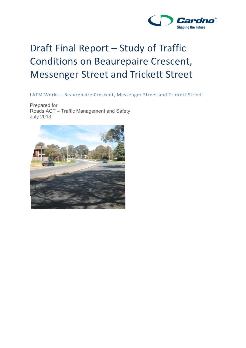 Executive Summary - Study of Traffic Conditions in Holt