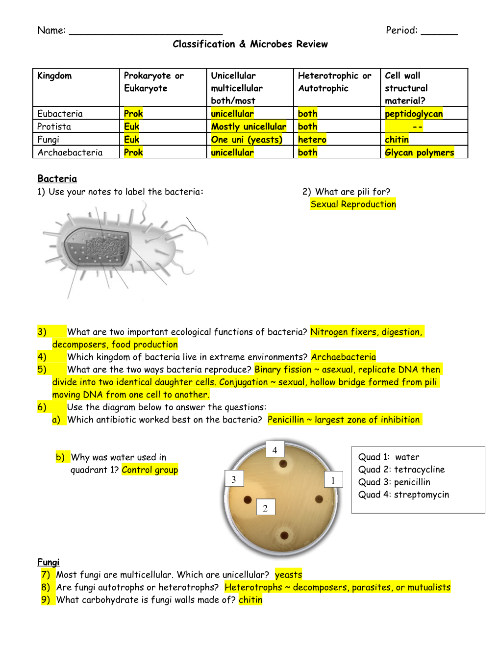 Bacteria/Virus Test Review