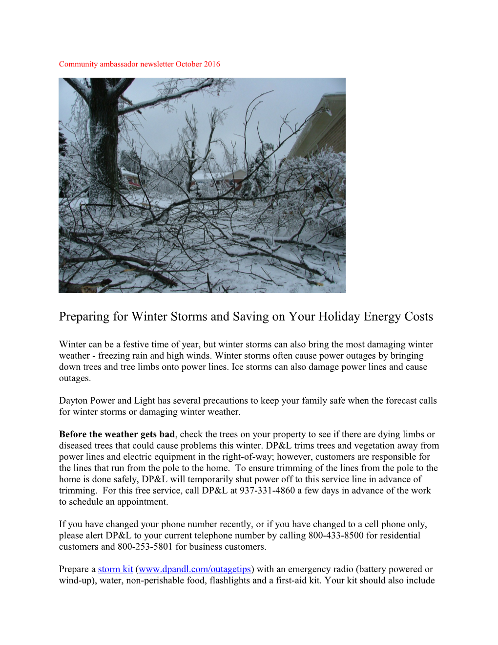 Preparing for Winter Storms and Saving on Your Holiday Energy Costs