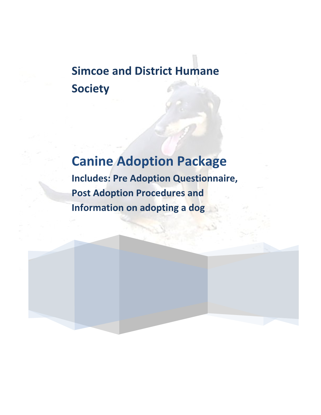 Feline Adoption Package