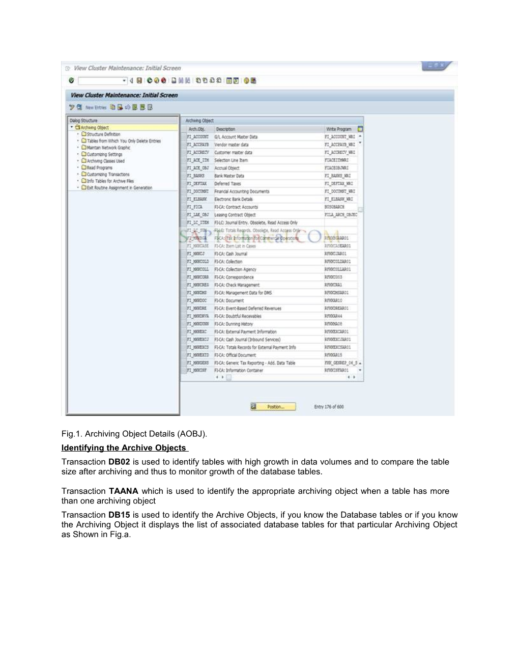 SAP Data Archiving