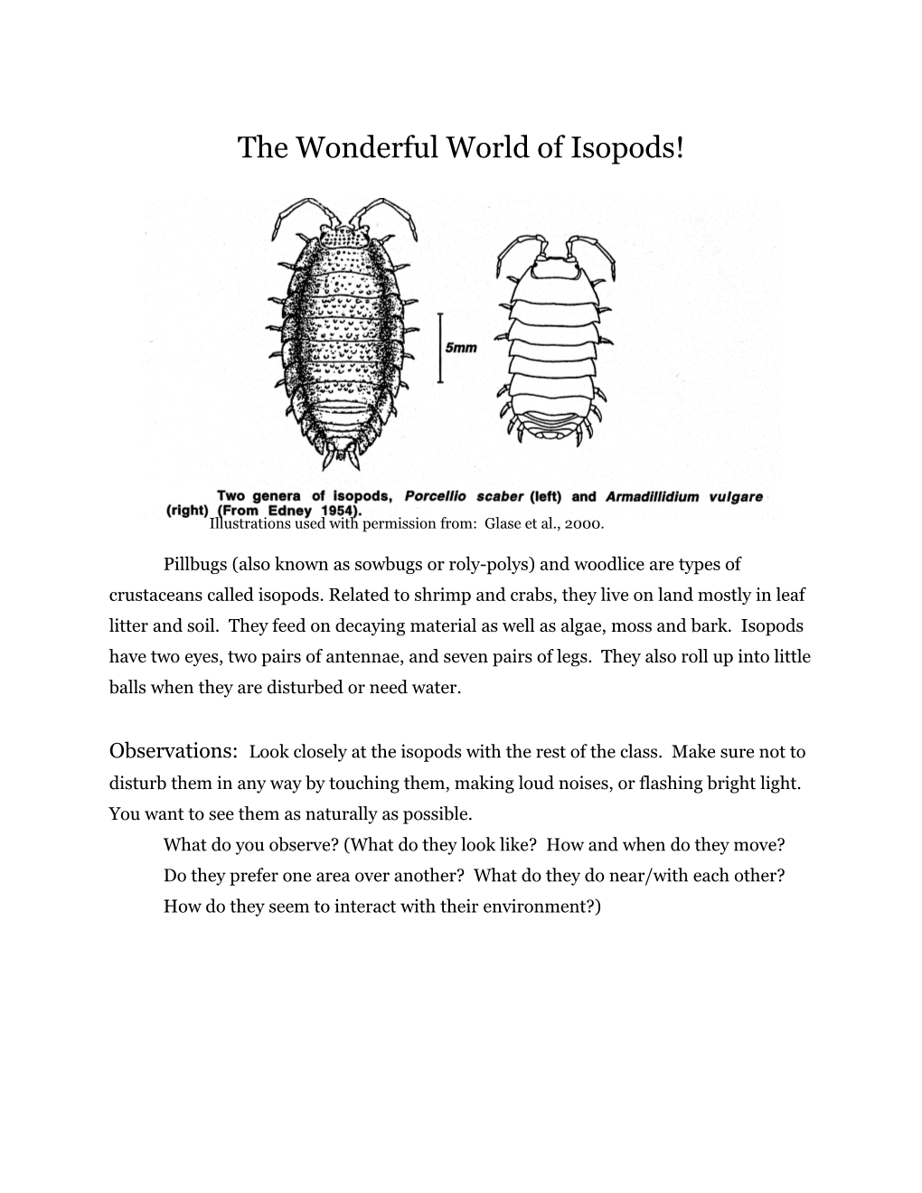 The Wonderful World of Pillbugs