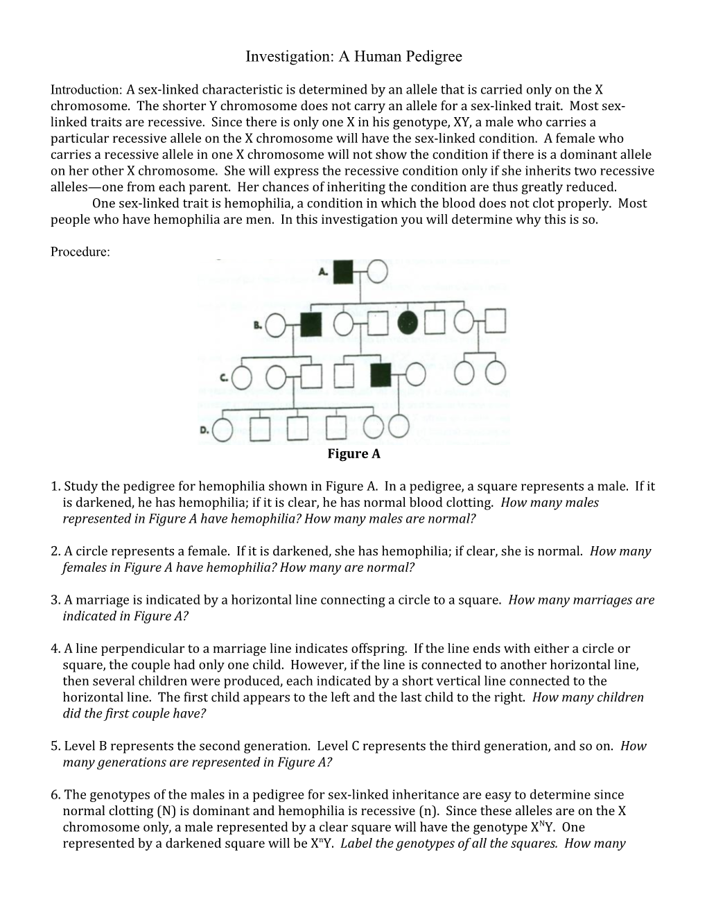 Investigation: a Human Pedigree