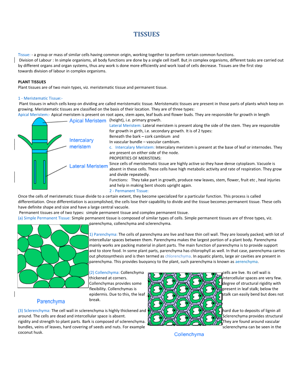 Plant Tissues Are of Two Main Types, Viz. Meristematictissueand Permanenttissue