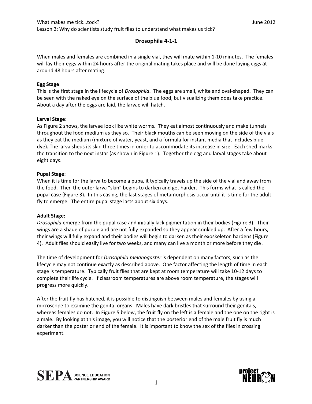 Lesson 2: Why Do Scientists Study Fruit Flies to Understand What Makes Us Tick?