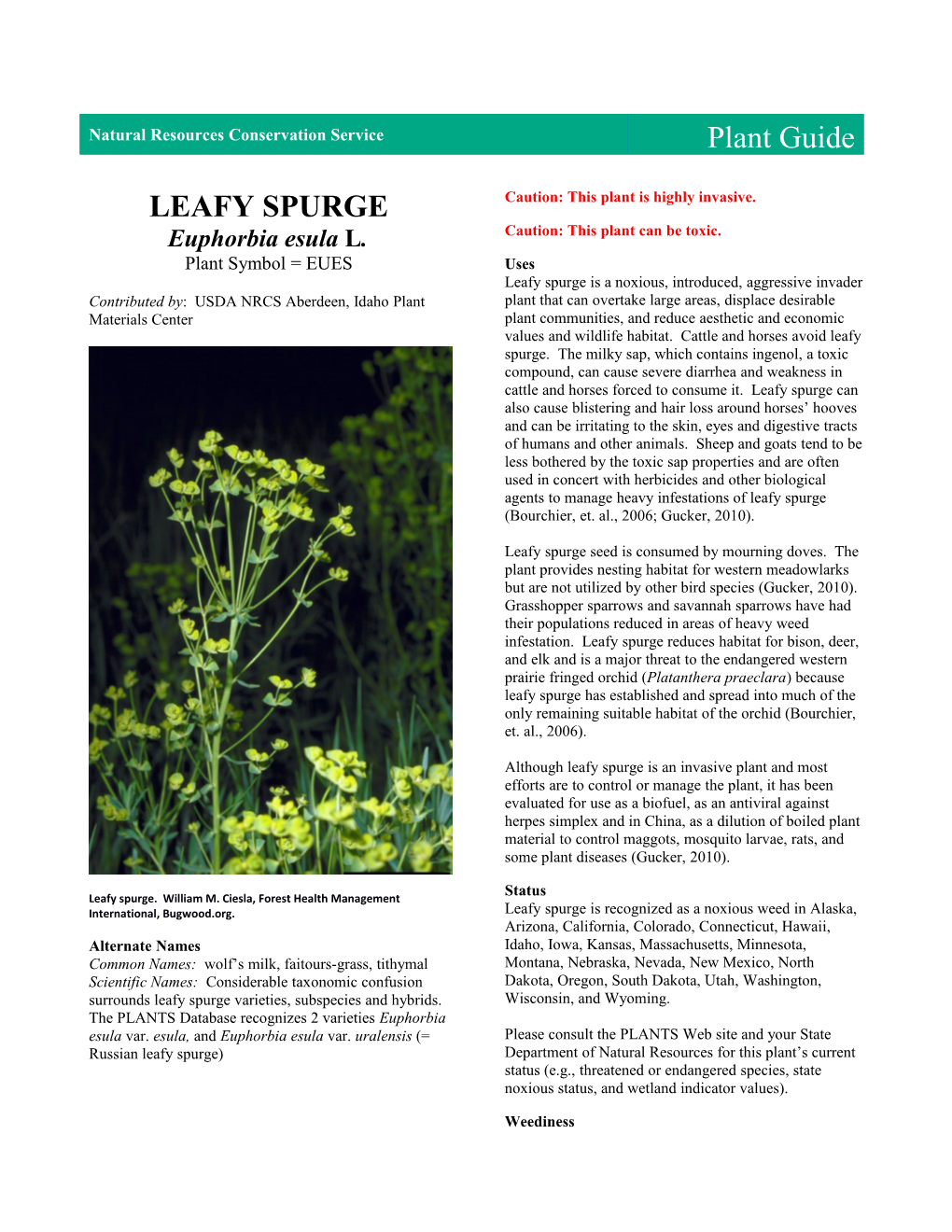 Plant Guide for Leafy Spurge (Euphorbia Esula)