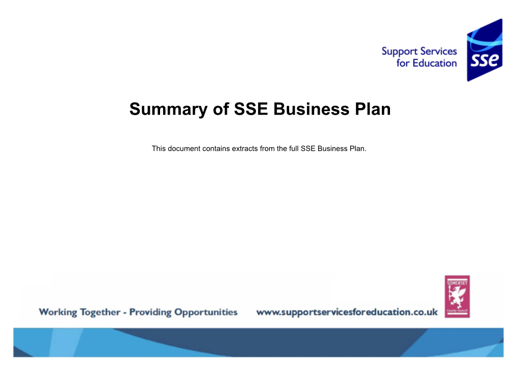 Summary of SSE Business Plan
