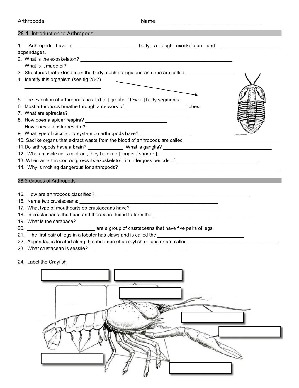 28-1 Introduction to Arthropods